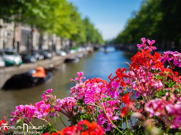 amsterdam-in-summer